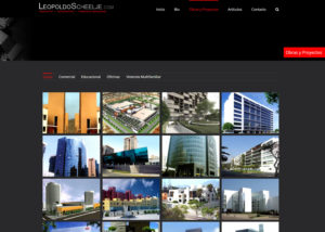 Captura de pantalla de la web leopoldoscheelje.com